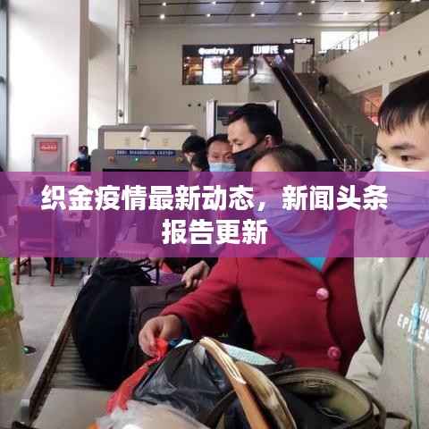 织金疫情最新动态，新闻头条报告更新