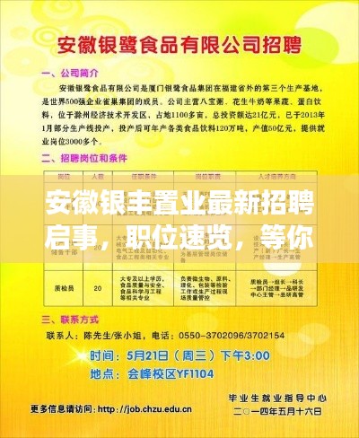 安徽银丰置业最新招聘启事，职位速览，等你来挑战！