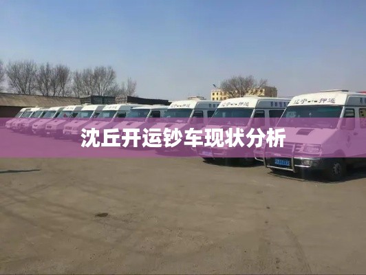 沈丘开运钞车现状分析