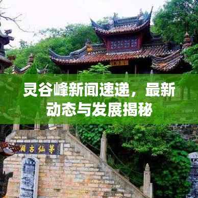 灵谷峰新闻速递，最新动态与发展揭秘