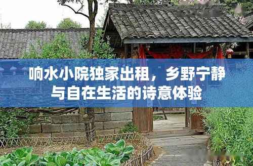 响水小院独家出租，乡野宁静与自在生活的诗意体验