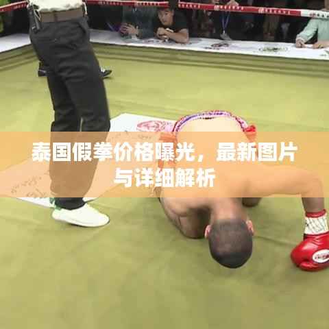 泰国假拳价格曝光，最新图片与详细解析